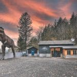 accommodatie, Airbnb Finds: regisseren a la Steven Spielberg vanuit het Jurassic Park-huis