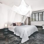 Tropische Bonaire, Airbnb Finds: Caribische villa op Bonaire met eigen butler en chef-kok