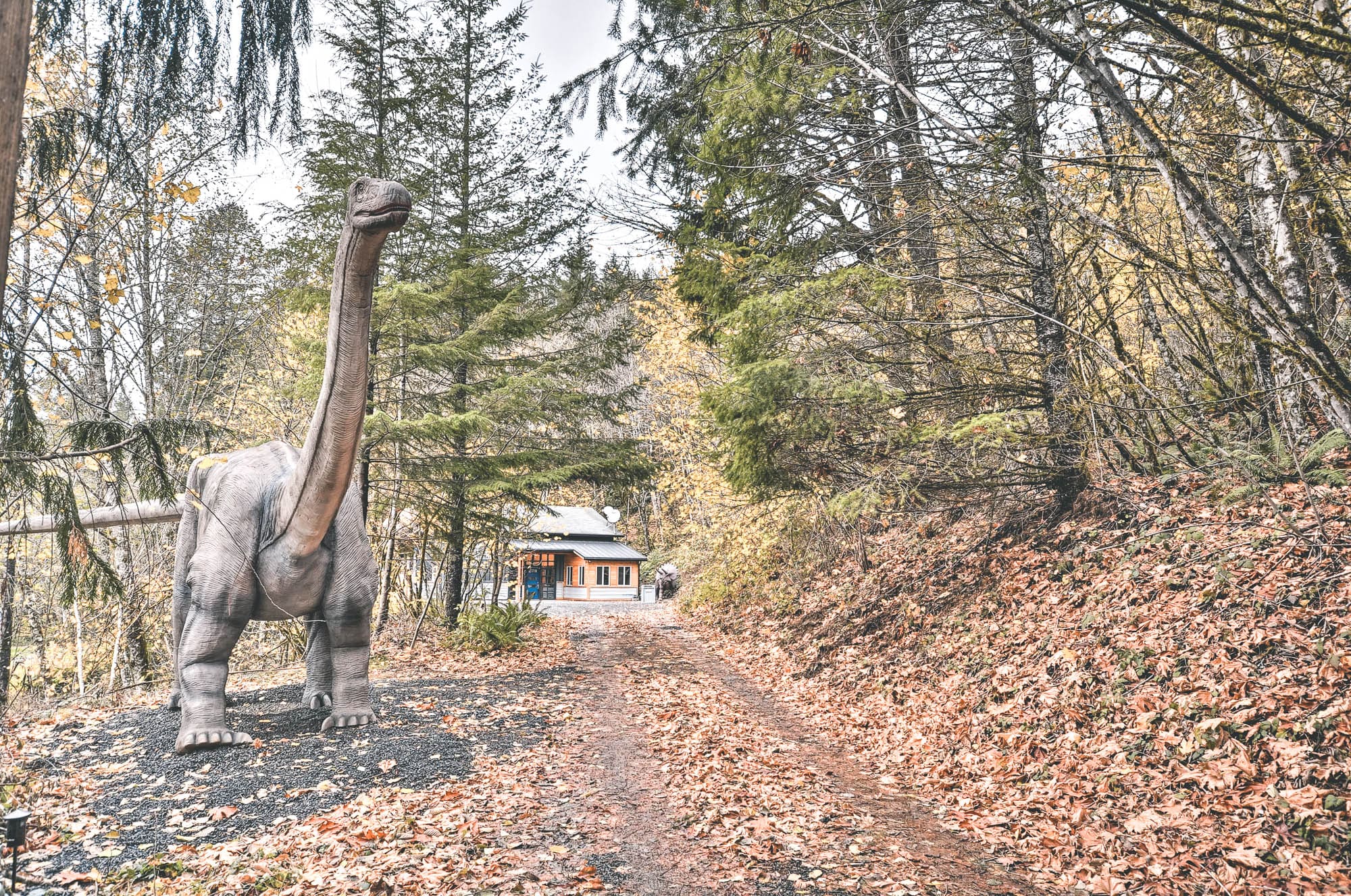 accommodatie, Airbnb Finds: regisseren a la Steven Spielberg vanuit het Jurassic Park-huis