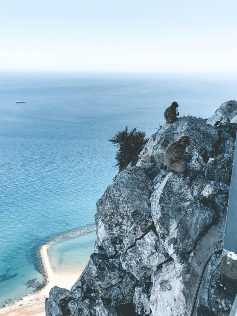 Manify tipt: roadtrip door Andalusie