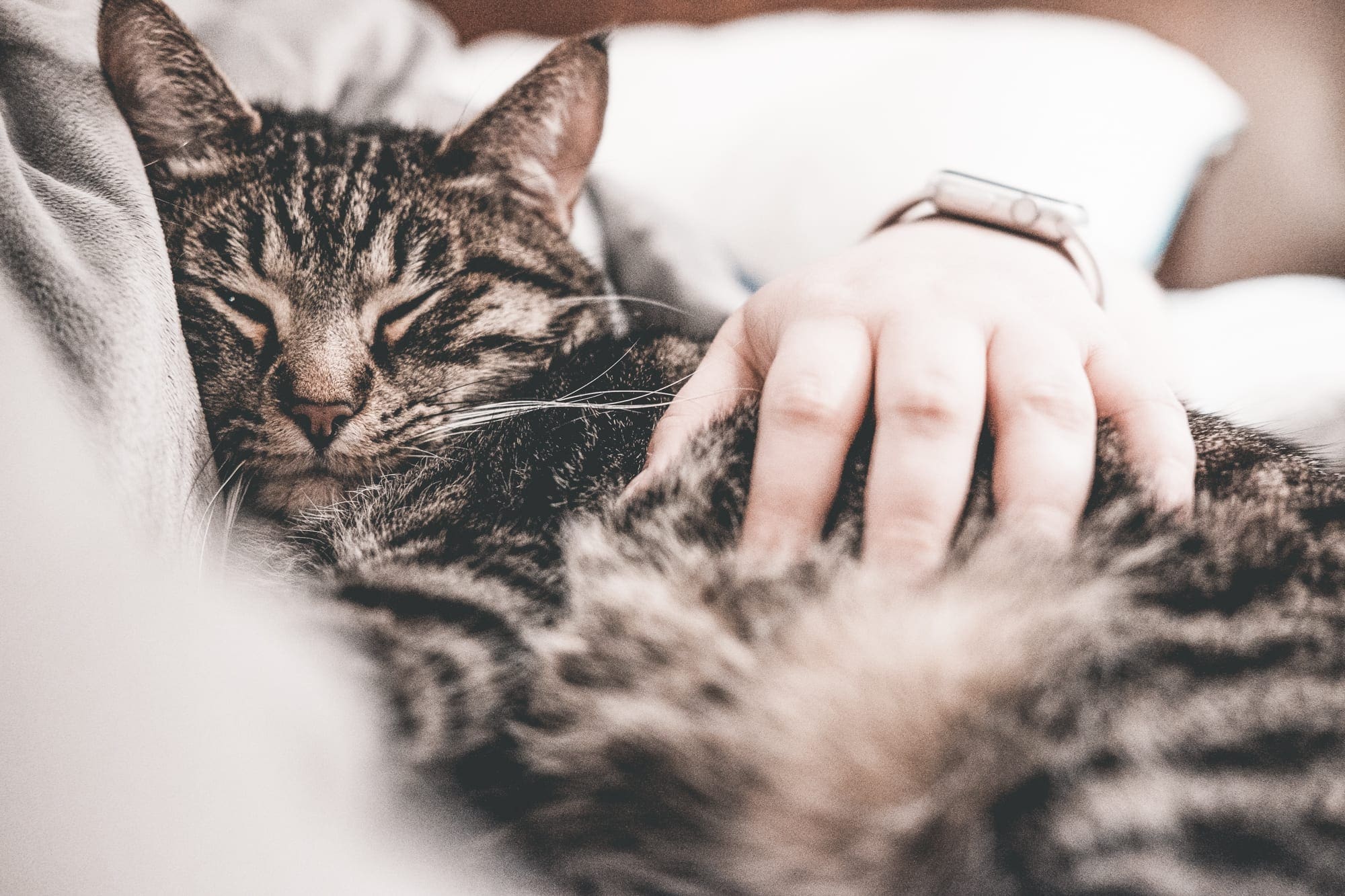 Is de Apple Watch als bed partner überhaupt haalbaar?