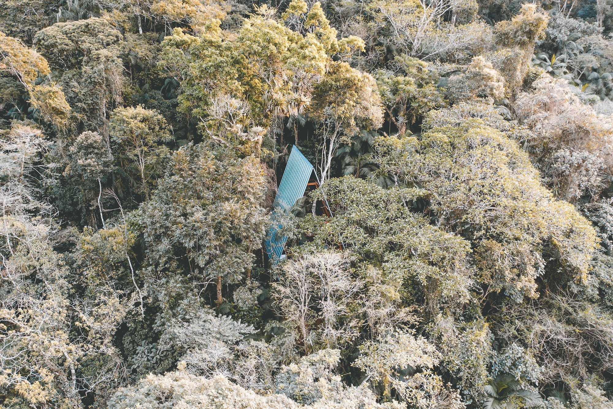 Airbnb Finds: hide & seek boomhut in de jungle van Rio