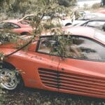 Oude Ferrari, Barnfind: oude Ferrari&#8217;s ontdekt in een weiland