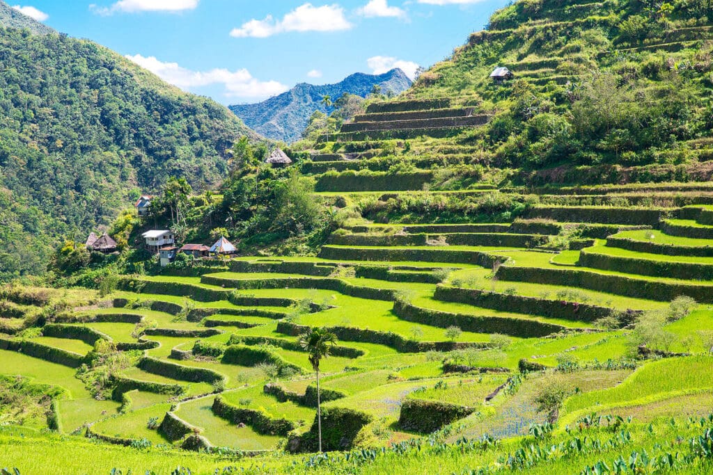 Rice Terraces In The Philippines. The Village Is In A Valley Amo