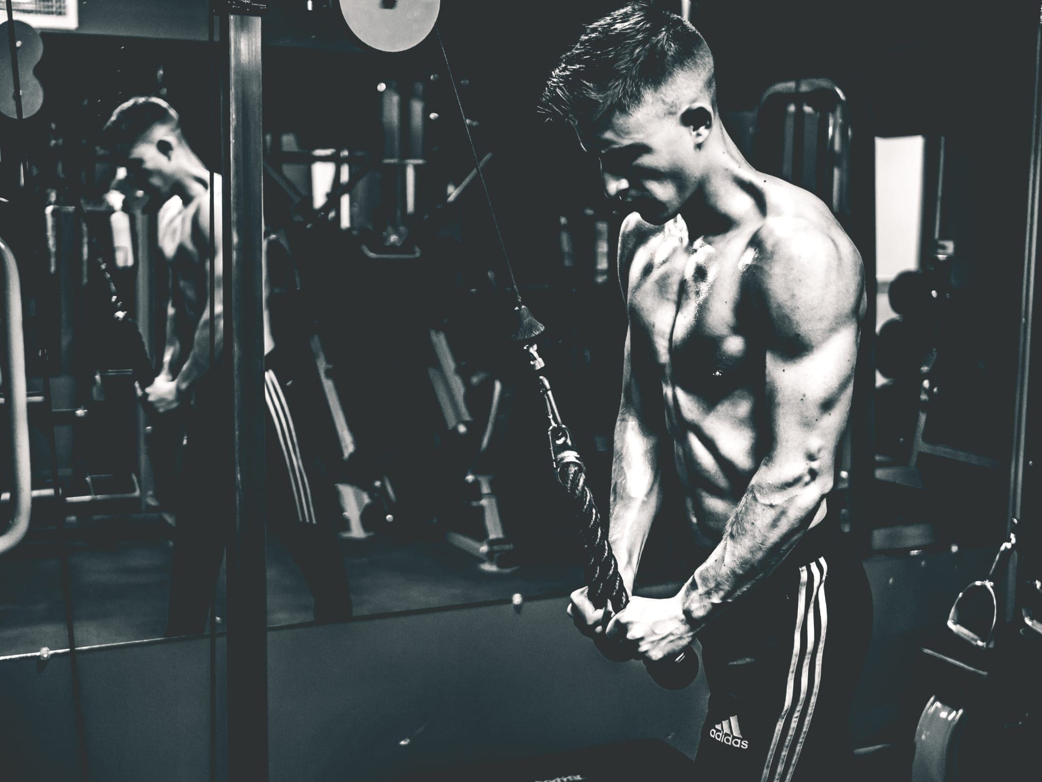 Fitness | Manify Interests #39