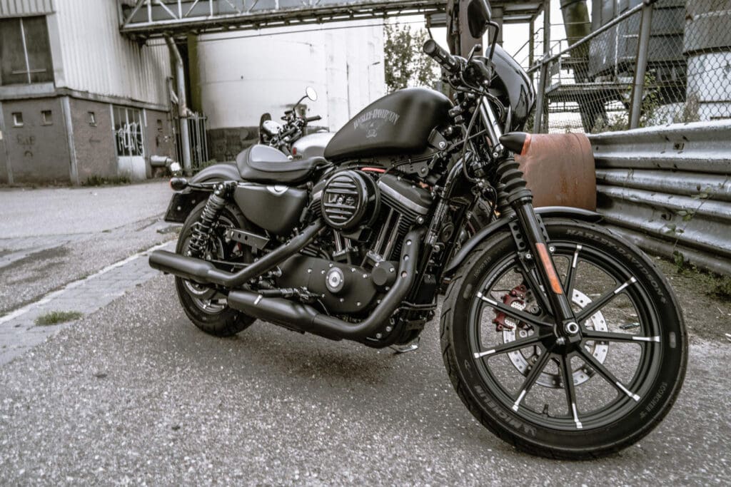 harley-triumph-manify-2