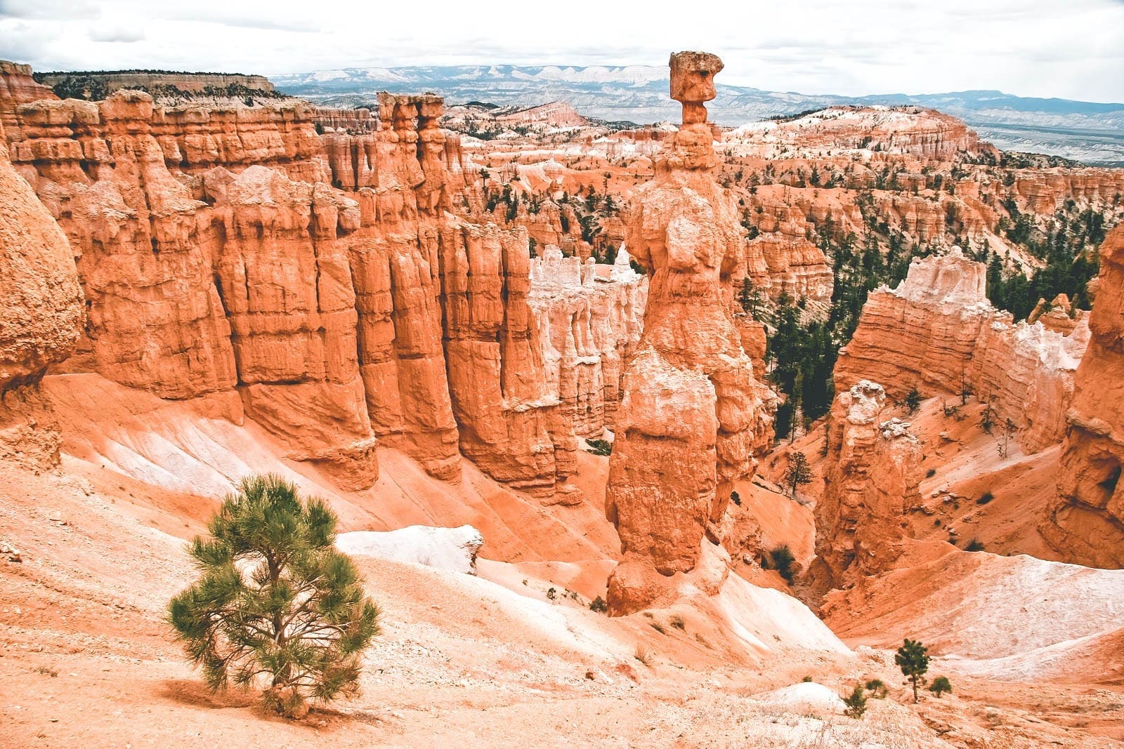 Adrenaline junkies opgelet: base jumpen tussen de canyons in Utah