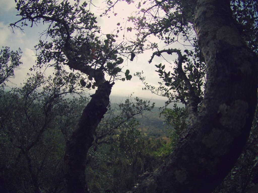 img_0049_fotor