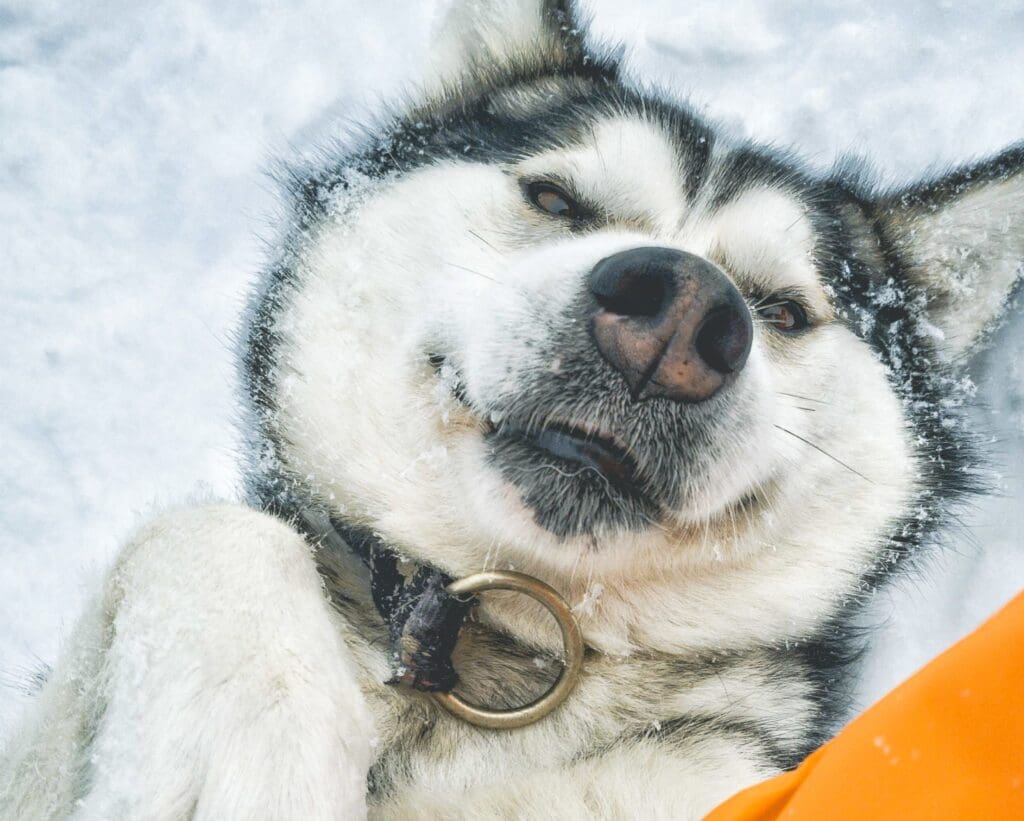 Instagram Inspiration Guide #80