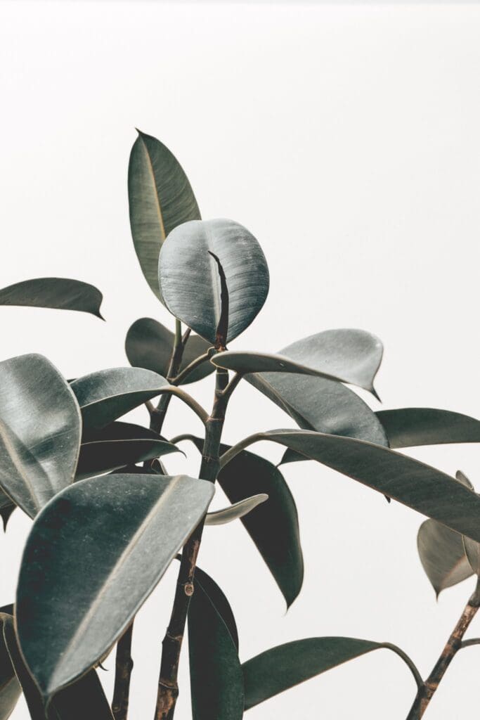 Interior Inspiration #5