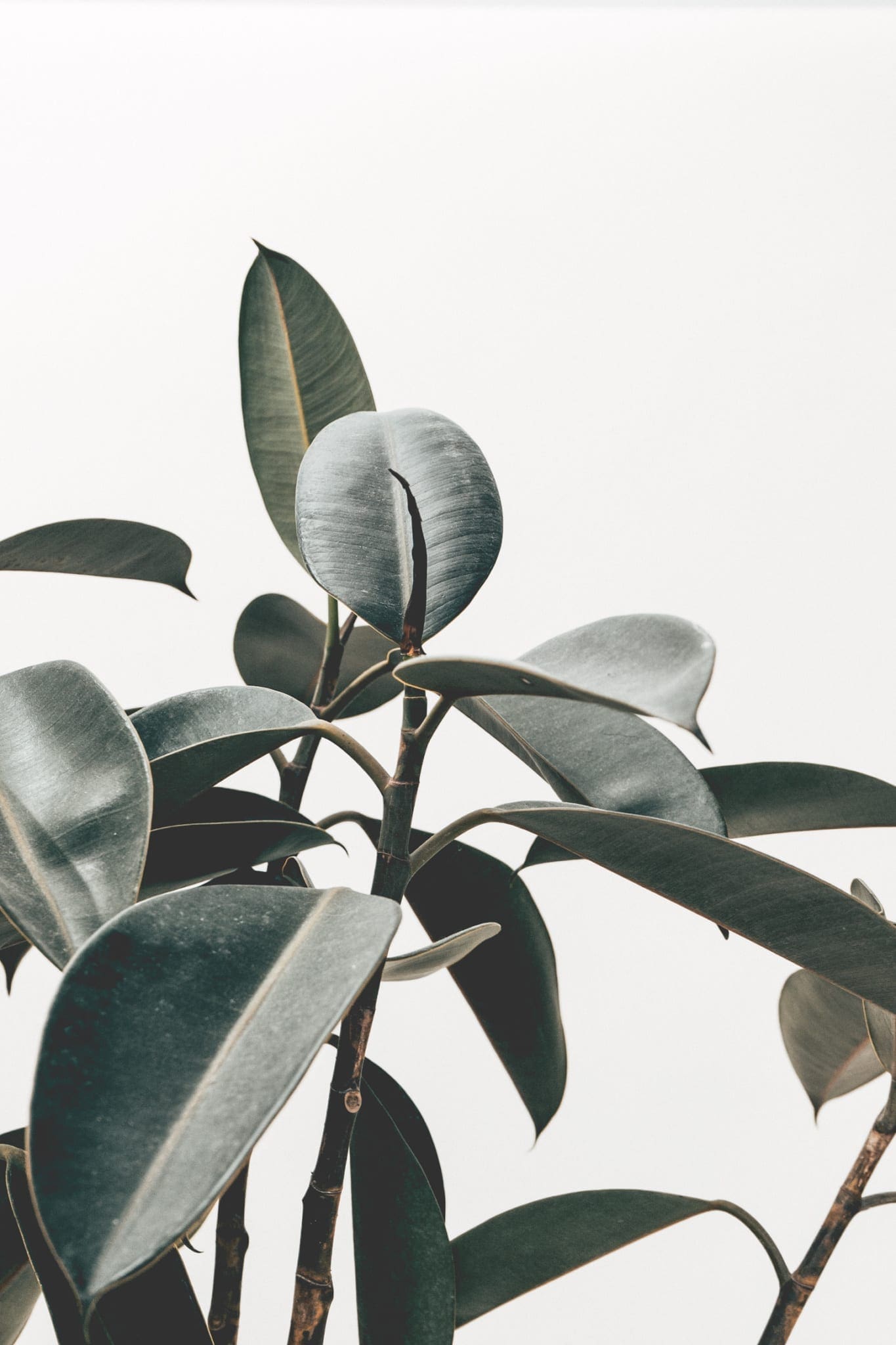Interior Inspiration #5
