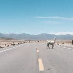 , Interview: een motortrip van New York via Alaska naar Patagonie, deze held flikte het