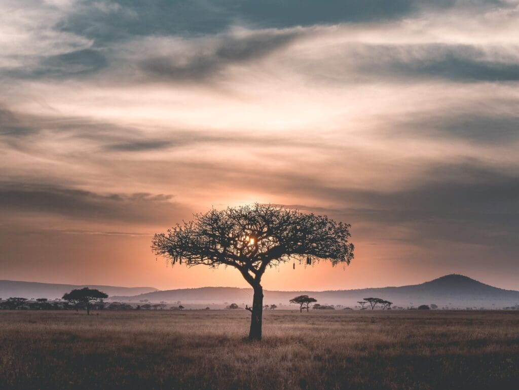 Inspiratie: 10 toekomstige must do’s in het bloedmooie Kenia