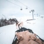 Les Sybelles, Les Sybelles: een zonnig paradijs voor de beginnende skier!