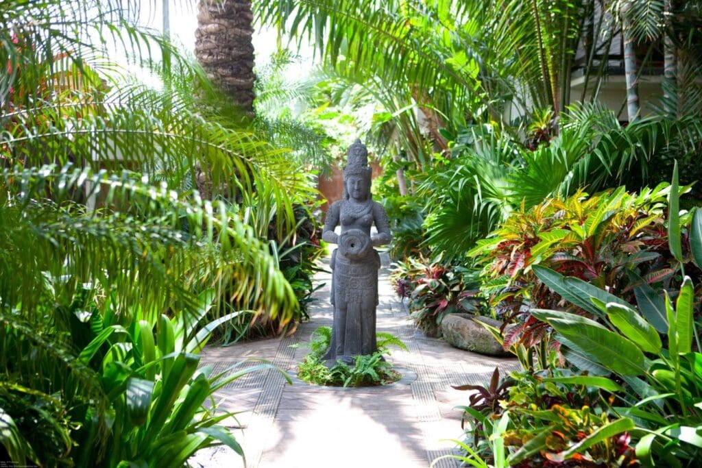 Lush Tropical Garden
