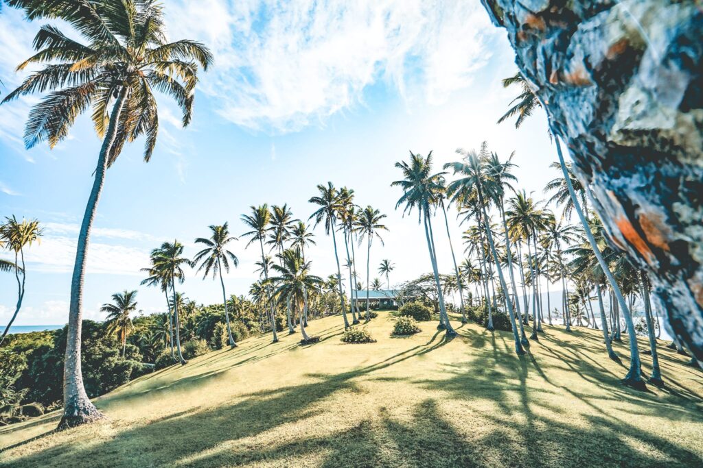 Mai Island