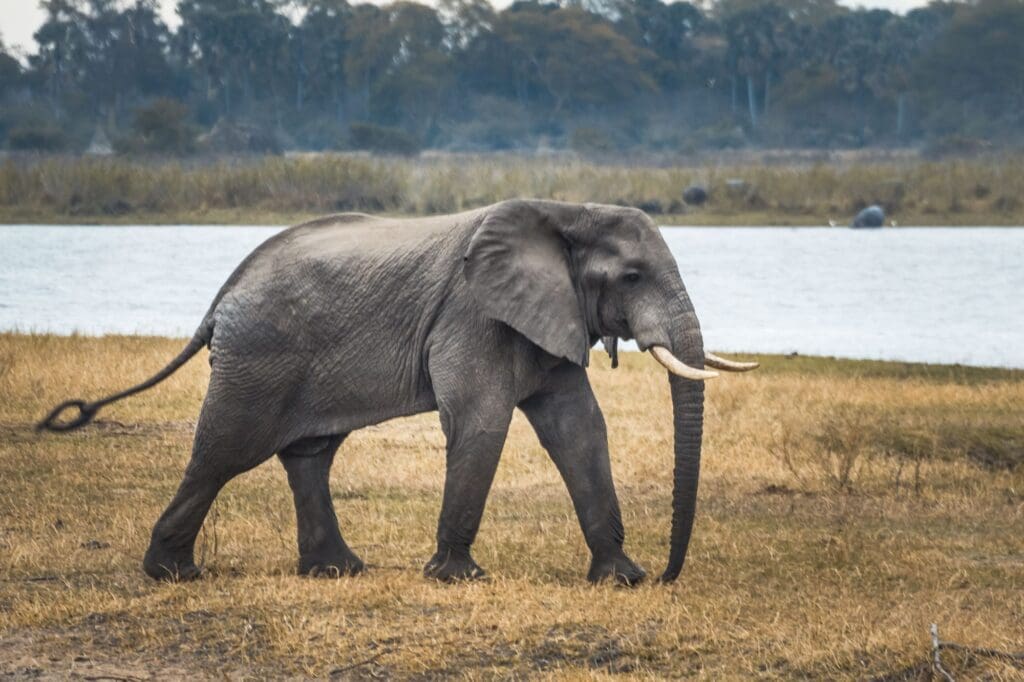 Malawi, Malawi: het warme hart van Afrika