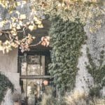 nature, Airbnb Finds: old school mancave aan de Cote d&#8217;Azur