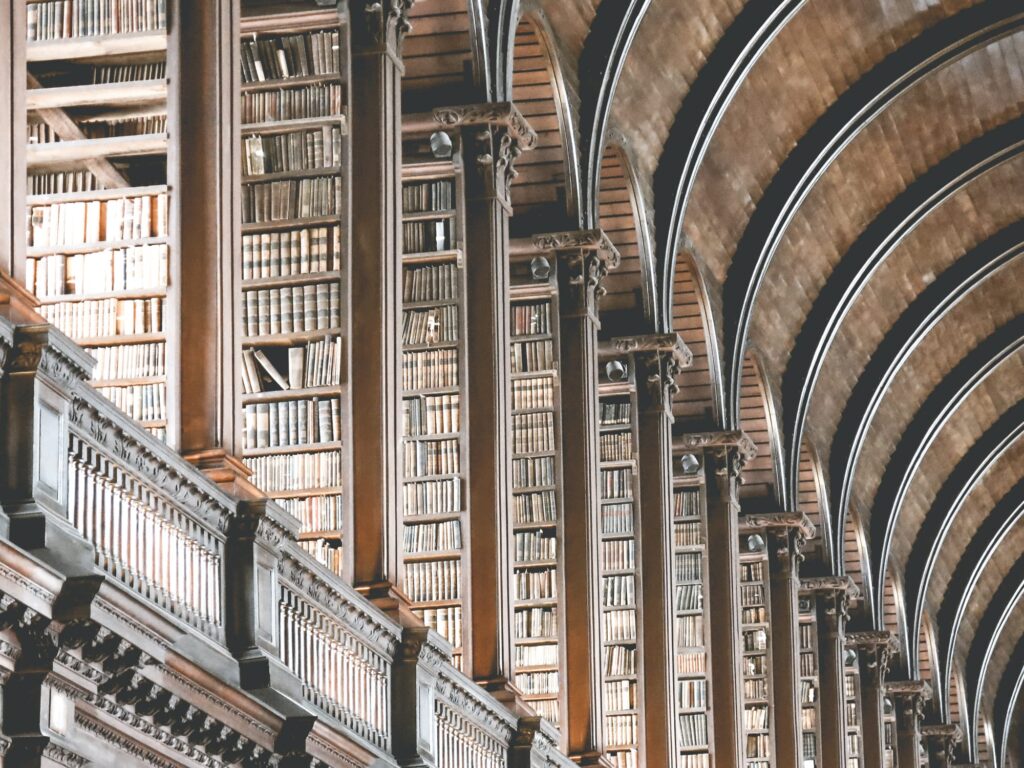 Must reads | The Bookshelf #8