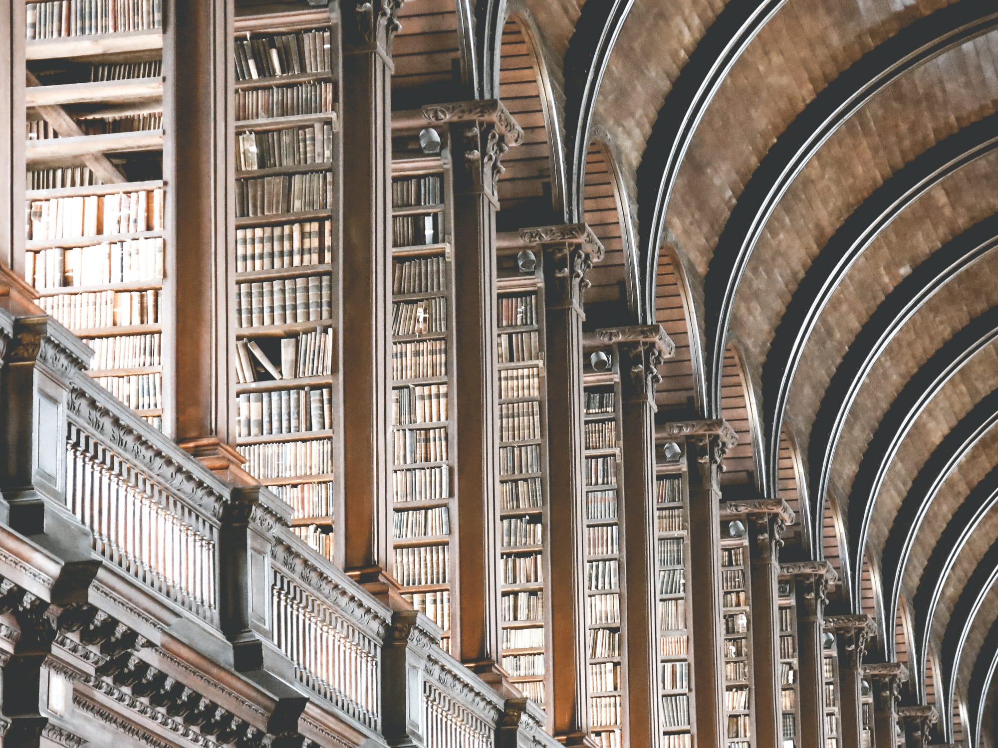 Must reads | The Bookshelf #8