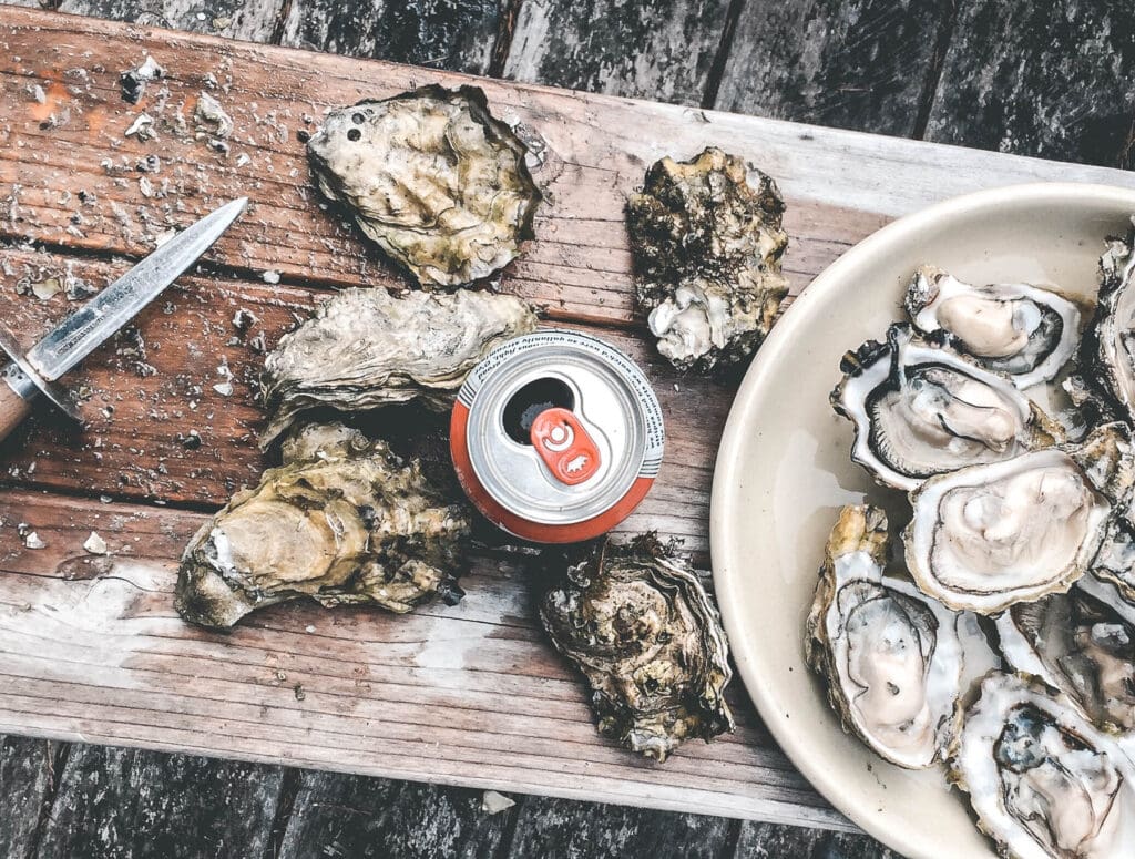 Internationale Oester Dag: dit zijn de beste oester-restaurants van Nederland
