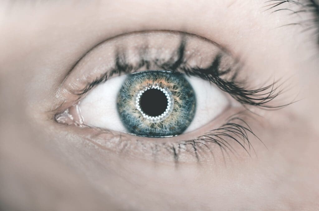 Zijn dit de contactlenzen van de toekomst?