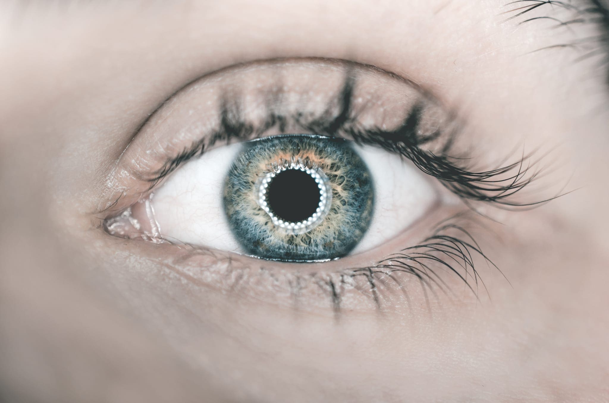 Zijn dit de contactlenzen van de toekomst?