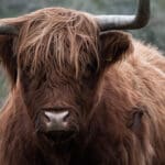 , Inspiratie: deze foto&#8217;s bewijzen dat Nederland mooier is dan je denkt