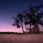 , Inspiratie: deze foto&#8217;s bewijzen dat Nederland mooier is dan je denkt