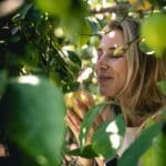 , Pallini limoncello: het beste wat Amalfi te bieden heeft