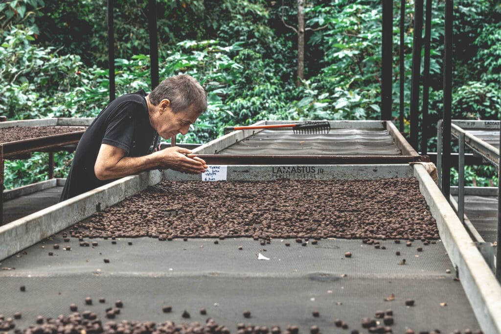 , Panama: van een betonnen naar een groene jungle in minder dan een uur