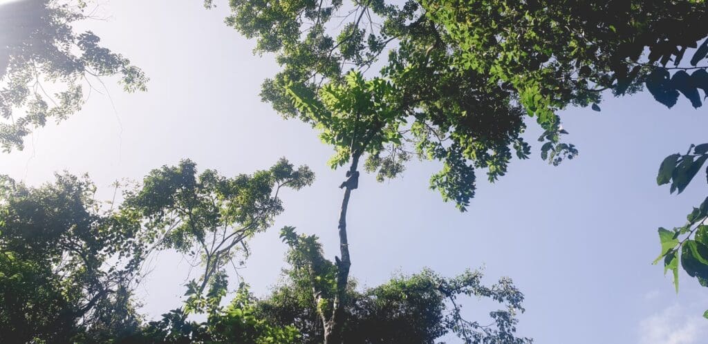 Panama-Stad, Stedentrip-tip: Panama Stad