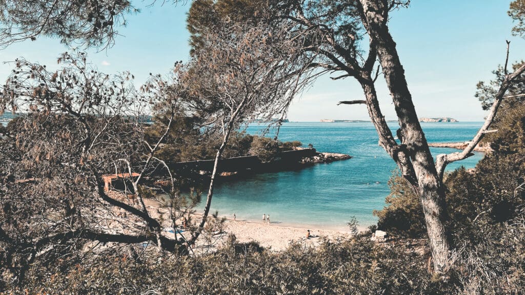 De vakantietip: in het laagseizoen naar San Antonio op Ibiza