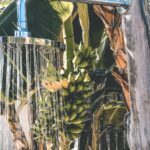 Bonaire, Airbnb Finds: luxe appartement met ocean view op Bonaire