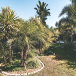 Portugese zon, Airbnb Finds: goedkope Portugese villa heeft alles voor de ultieme get-away
