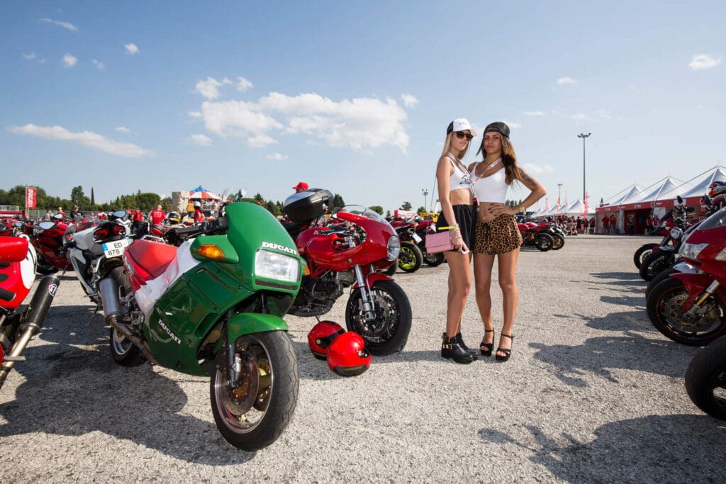 WDW16_103_paddock