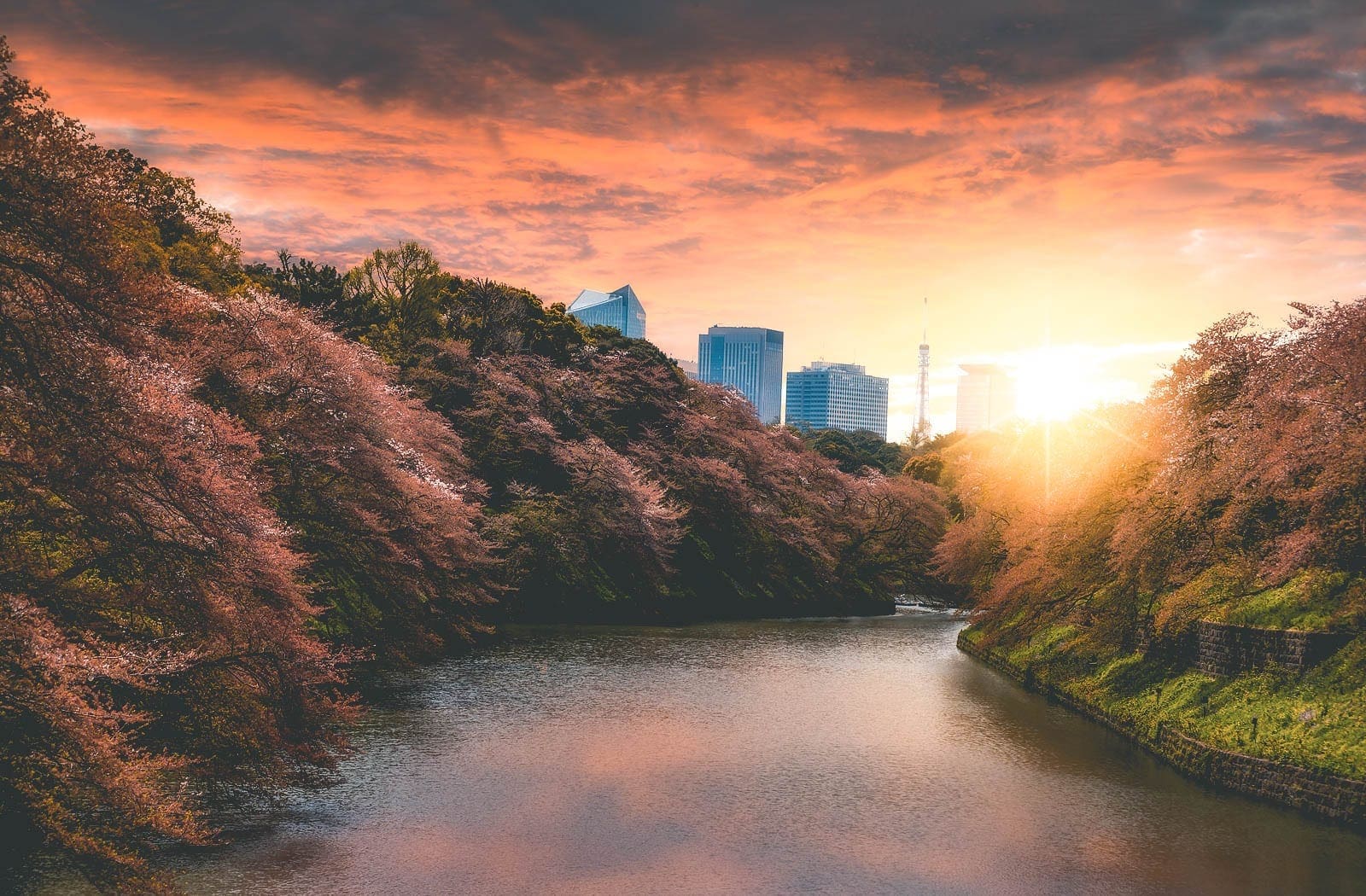 5x waarom je naar Tokyo moet!
