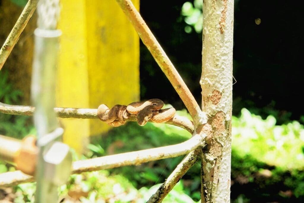 costa-rica