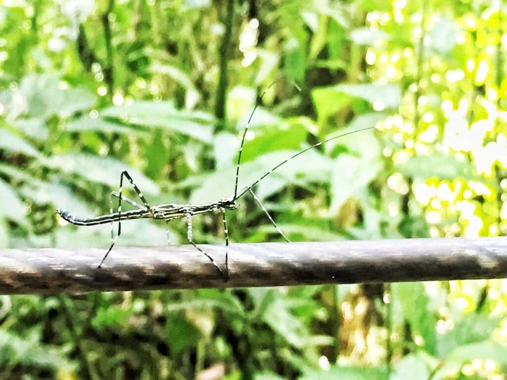 costa-rica