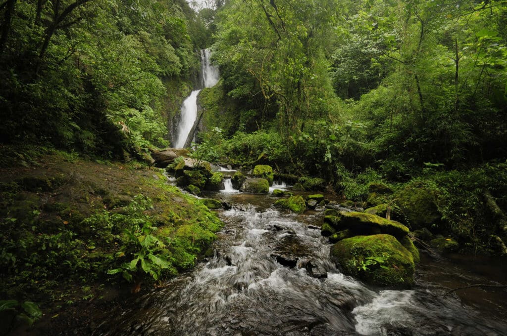 El Silencio-Costa Rica