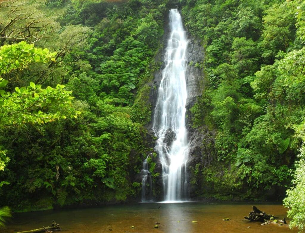 El Silencio-Costa Rica