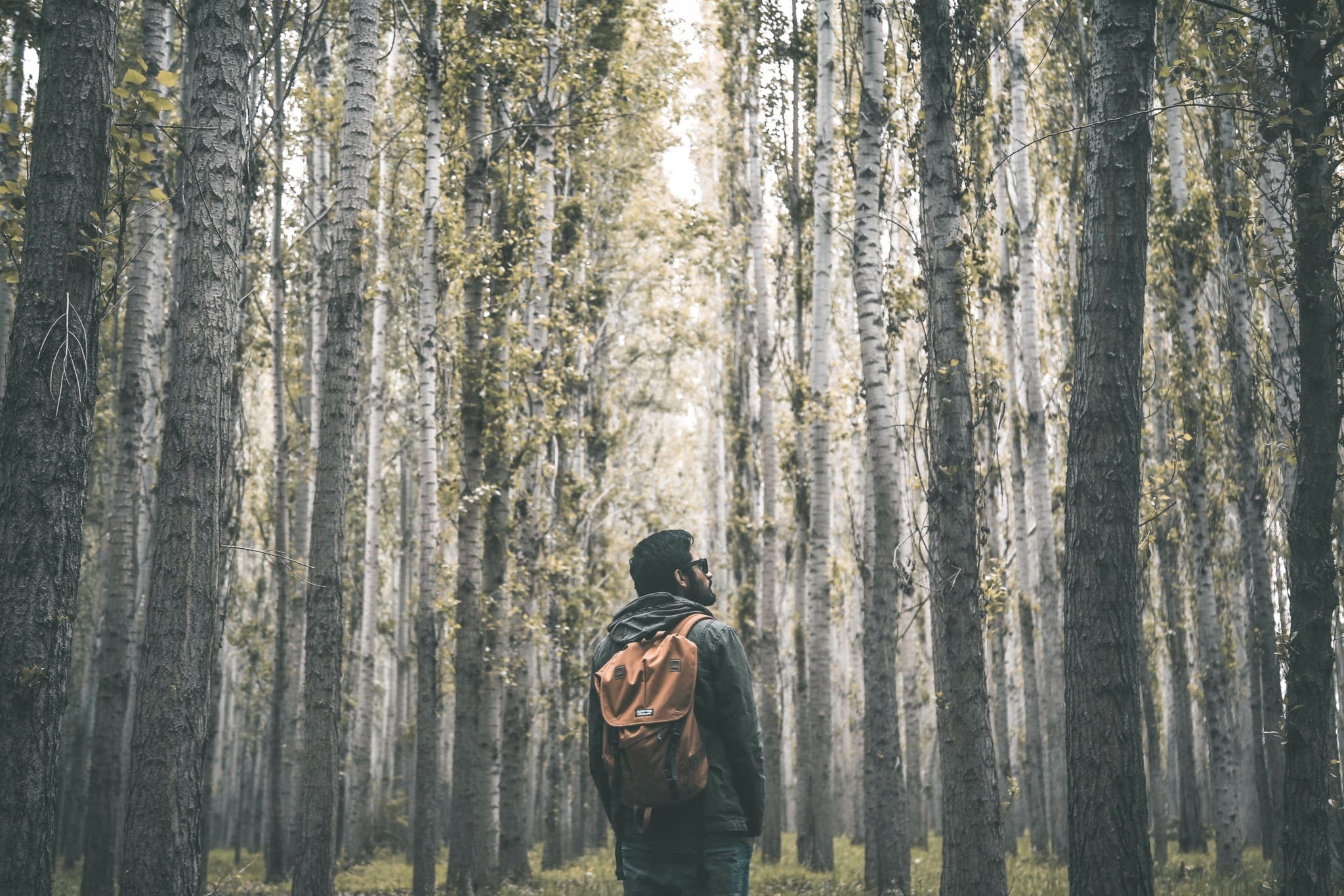 De beste hikeroutes van Europa