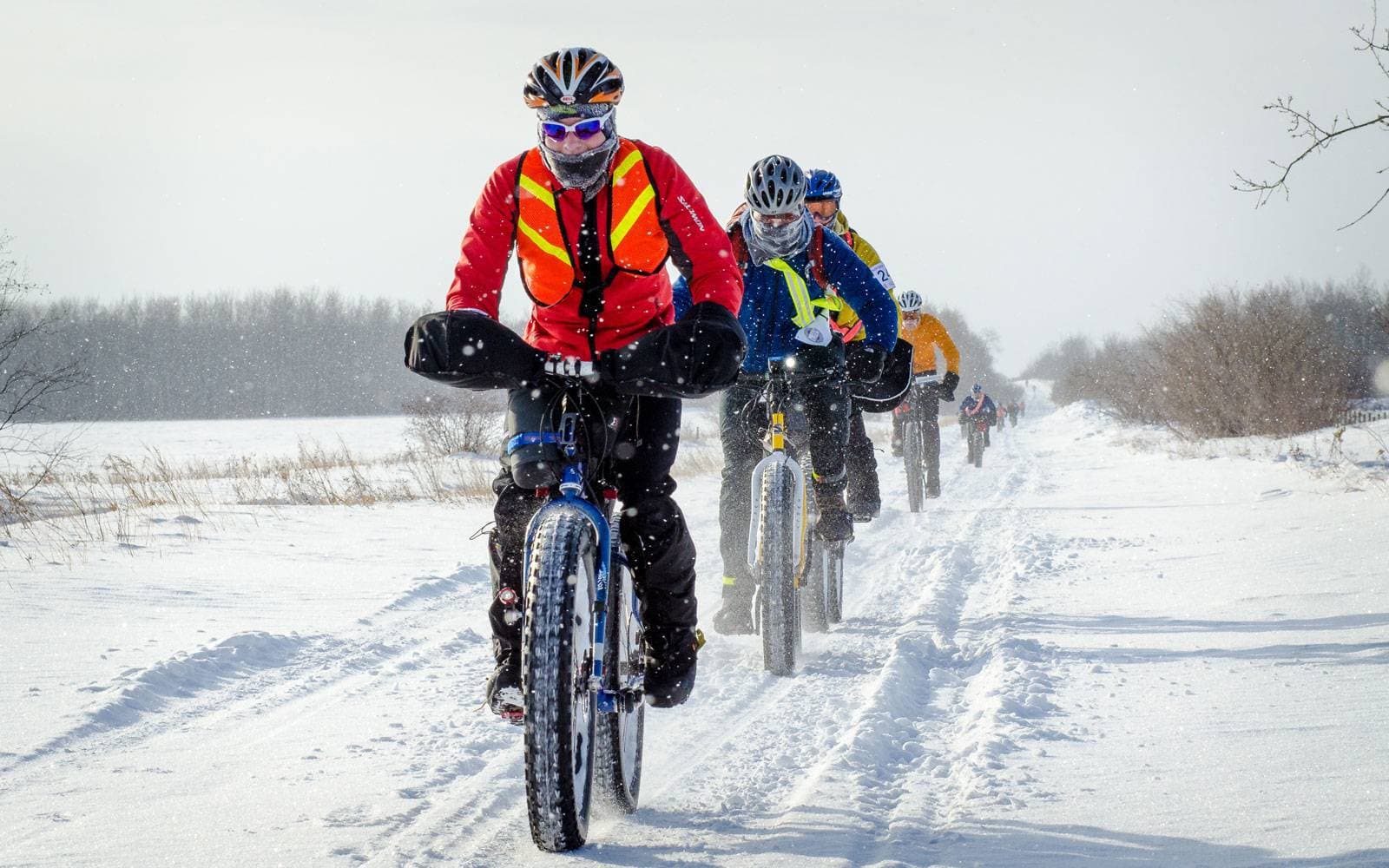 The-Great-Trail1