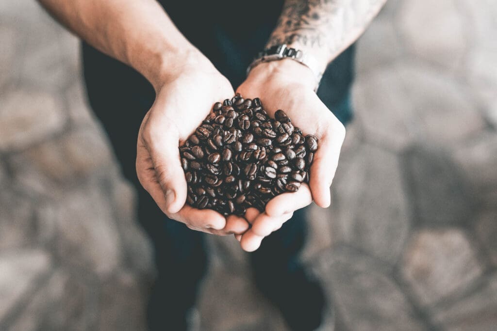 Koffie, mits juist gezet, blijkt uiterst gezond te zijn