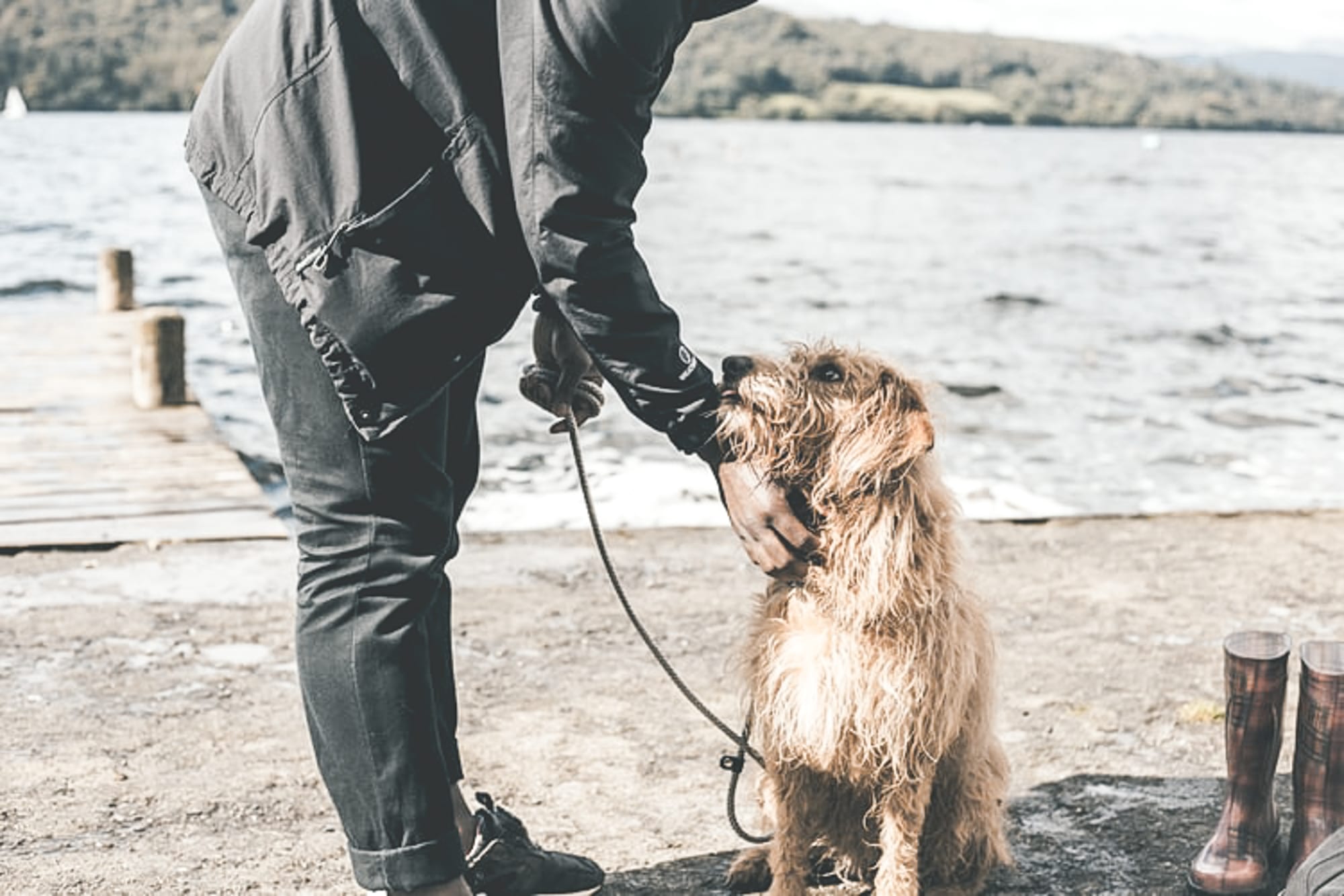 Studie laat zien: je leeft langer met een hond
