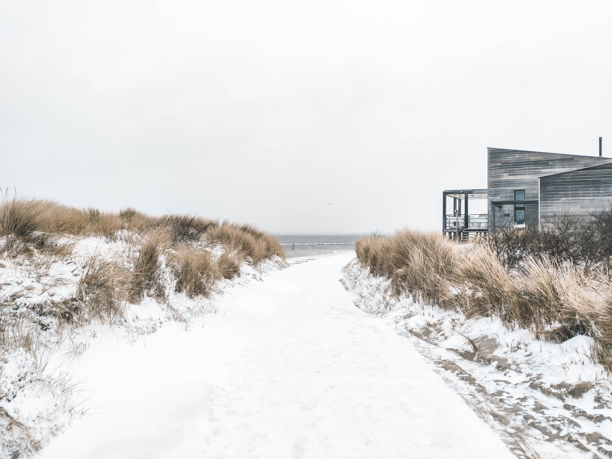 Oasis Punt West: Een Oase in Nederland