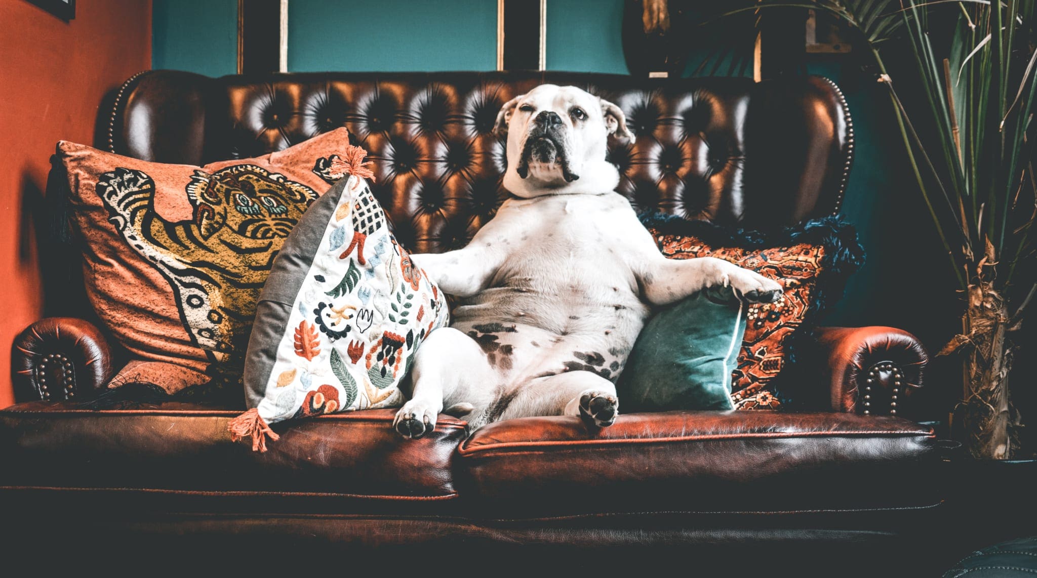 Interior Inspiration #20