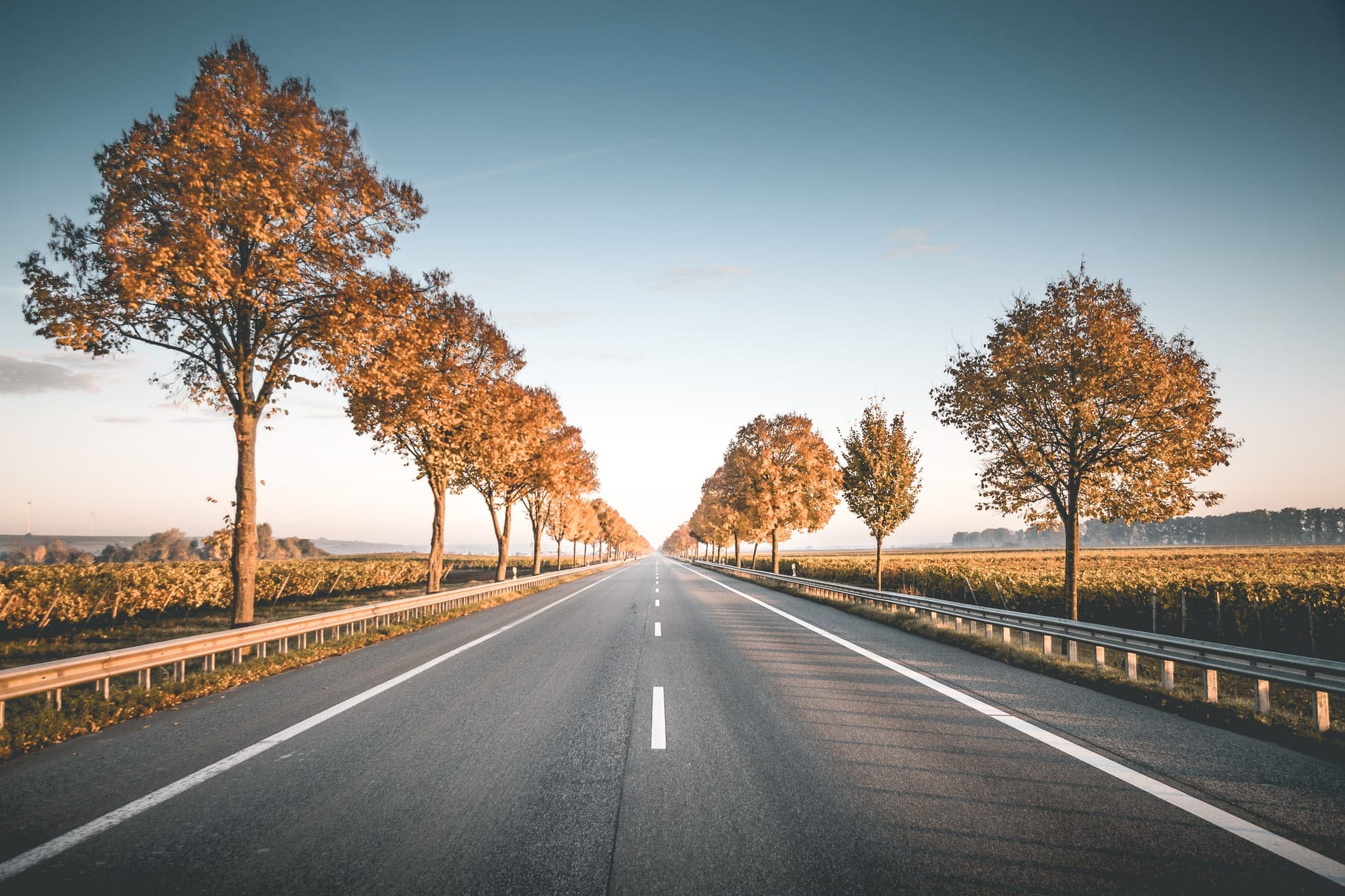 Doen: 6 toffe roadtrips door Nederland