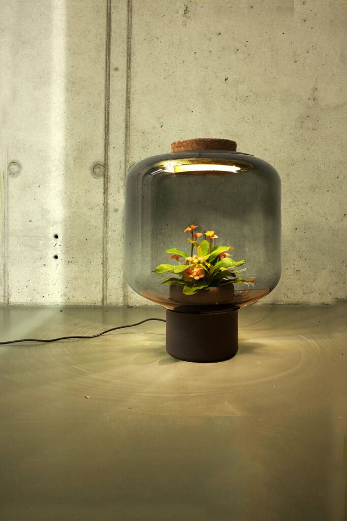 plant lamp