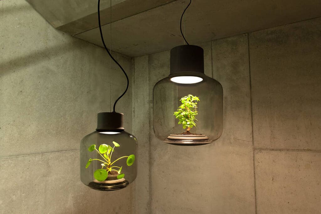plant lamp